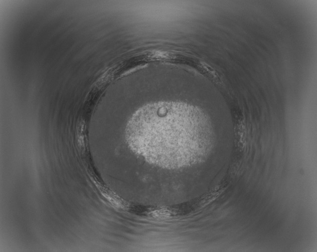 X0000054390423200507291149