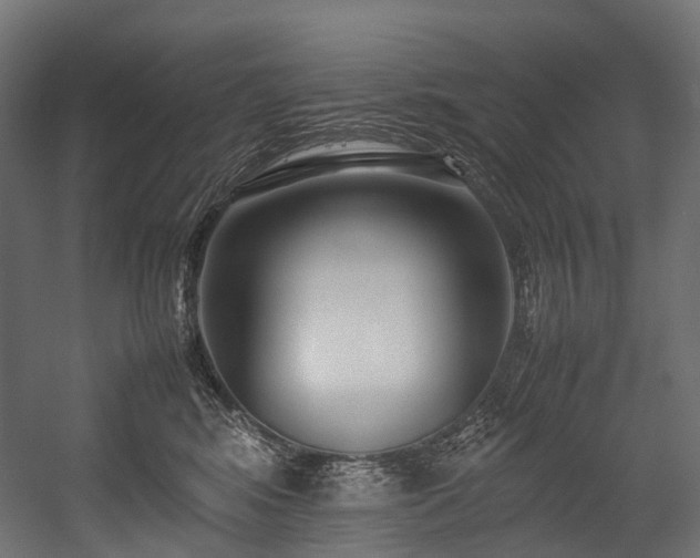 X0000054390424200507291149