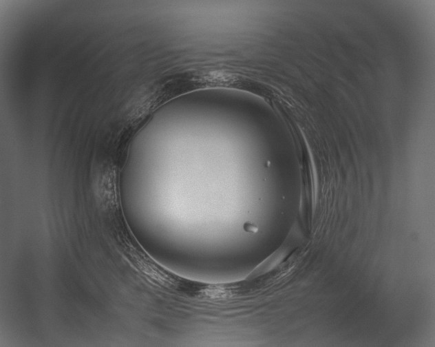 X0000054390425200507291148