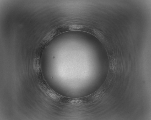 X0000054390426200507291148
