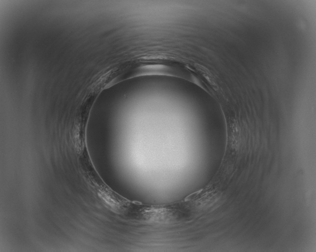 X0000054390428200507291148