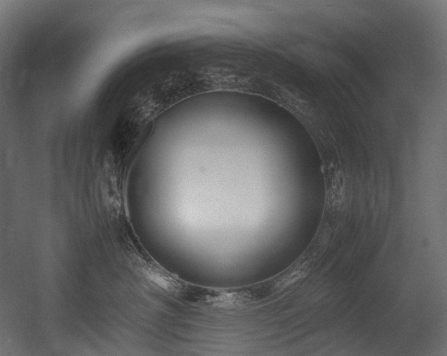 X0000054390430200507291148