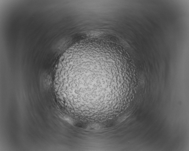 X0000054390431200507291148