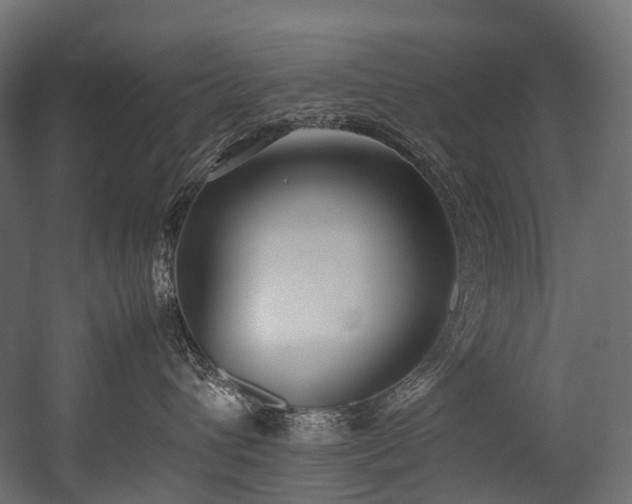 X0000054390432200507291148