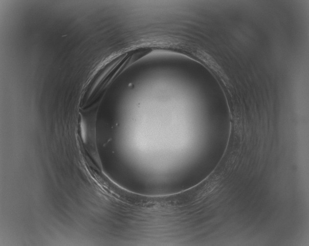 X0000054390434200507291148