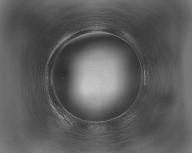 X0000054390435200507291148