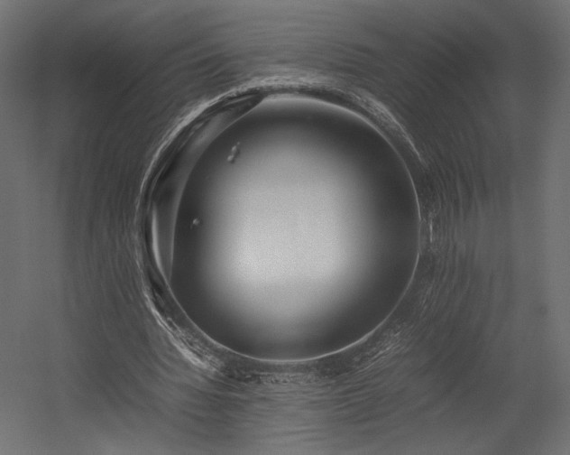 X0000054390436200507291148