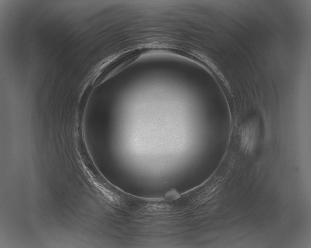 X0000054390437200507291148
