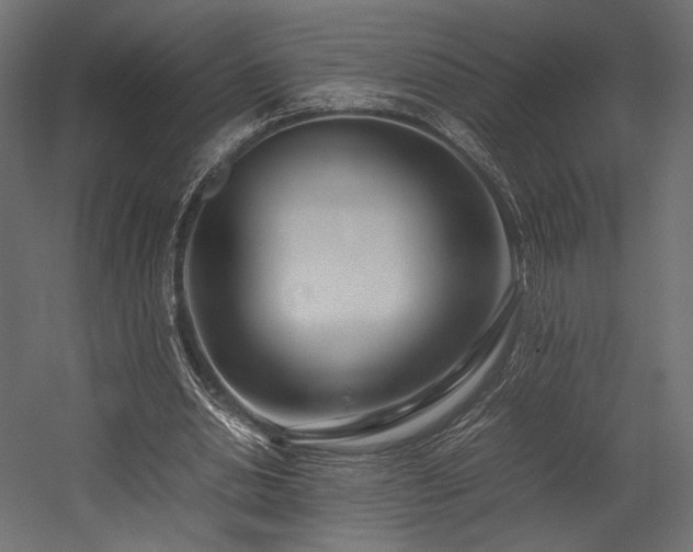 X0000054390438200507291148