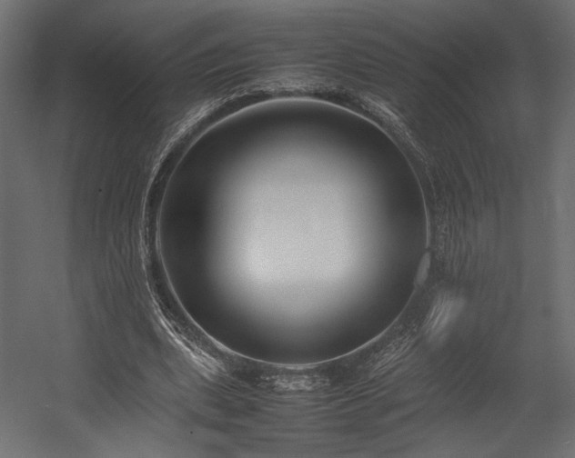 X0000054390439200507291148