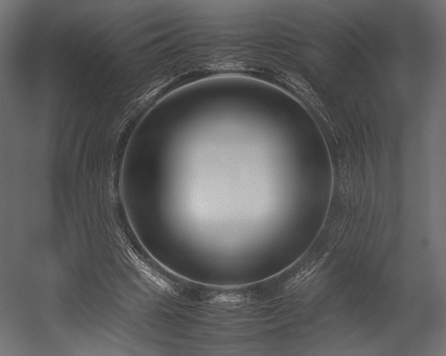 X0000054390441200507291148