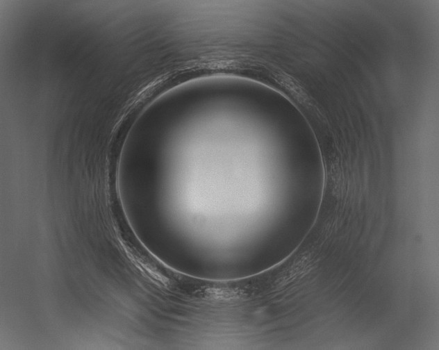 X0000054390442200507291148