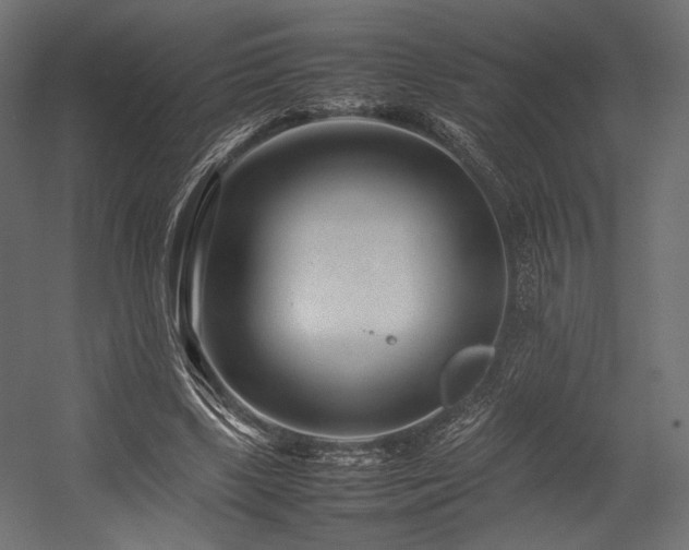 X0000054390443200507291148