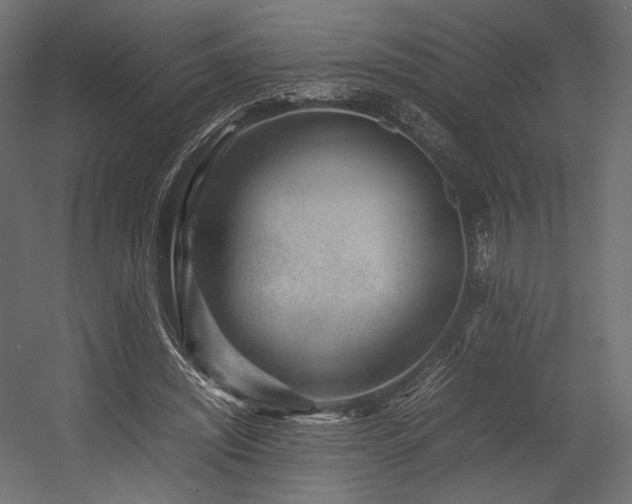 X0000054390444200507291148
