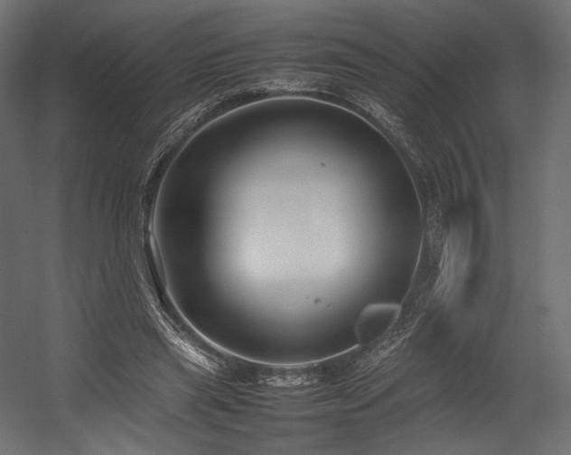 X0000054390445200507291148