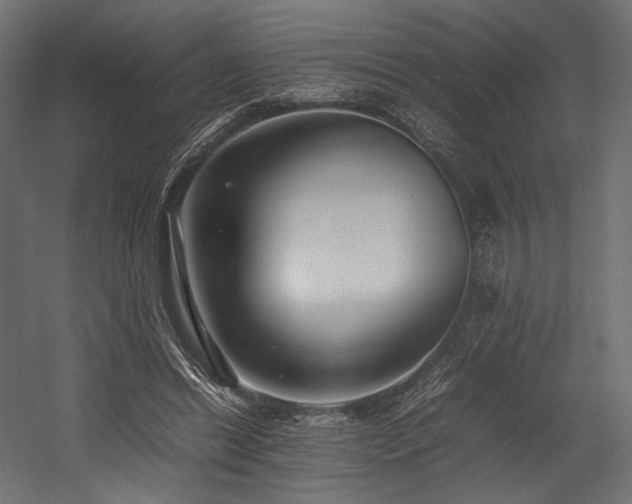 X0000054390446200507291148