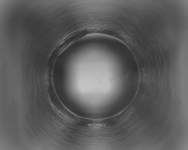 X0000054390448200507291148