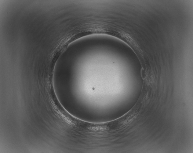 X0000054390449200507291148