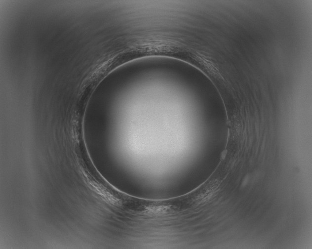 X0000054390450200507291148
