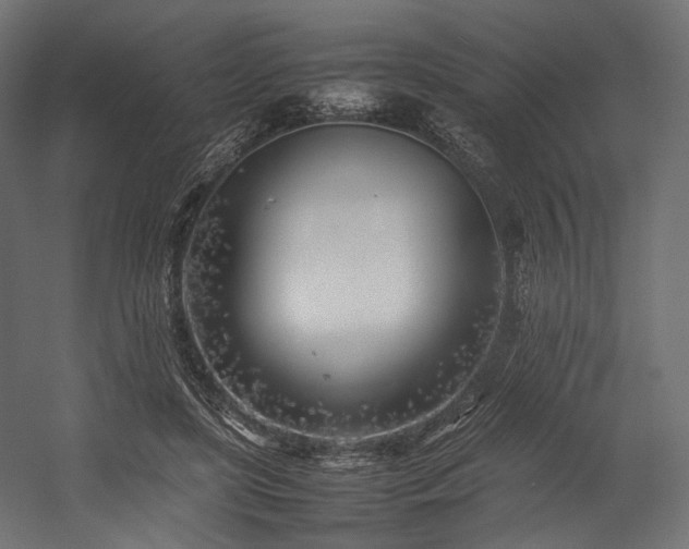 X0000054390451200507291148