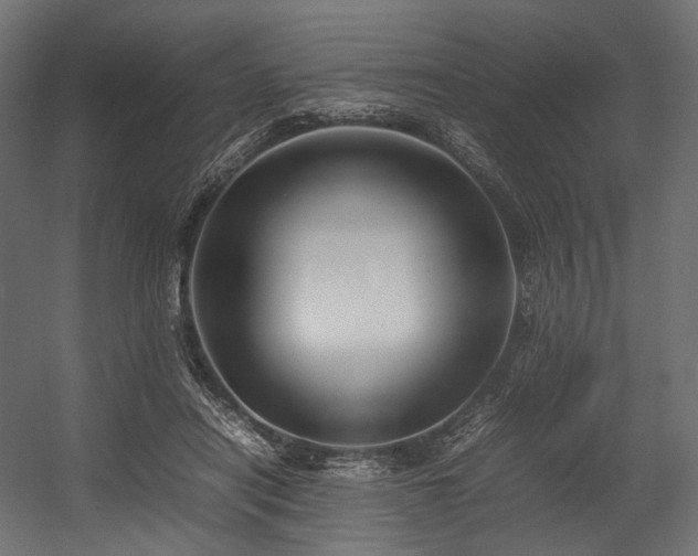 X0000054390454200507291148