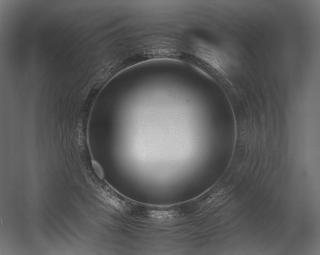 X0000054390457200507291148