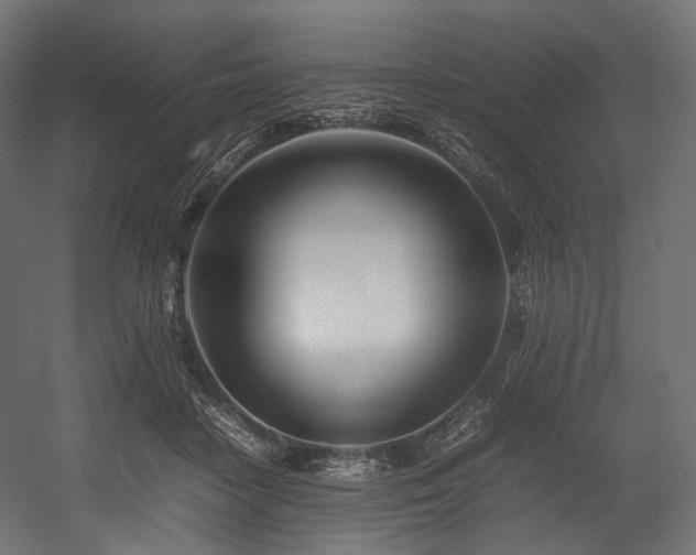 X0000054390458200507291148