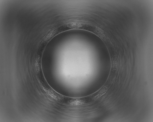 X0000054390460200507291148