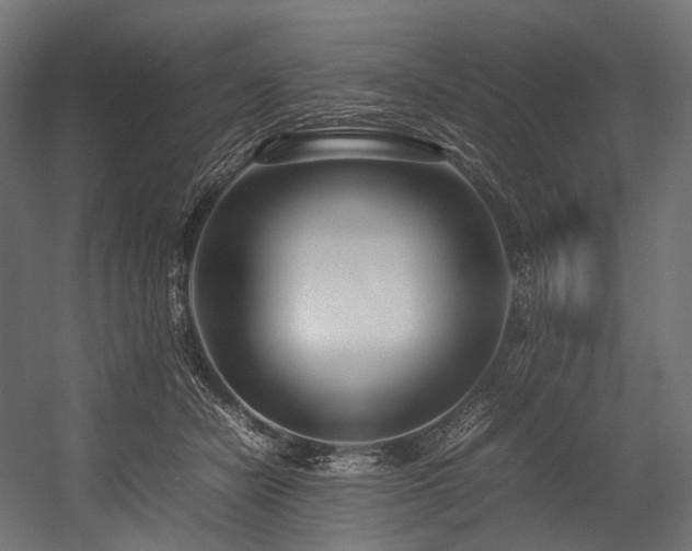 X0000054390462200507291148