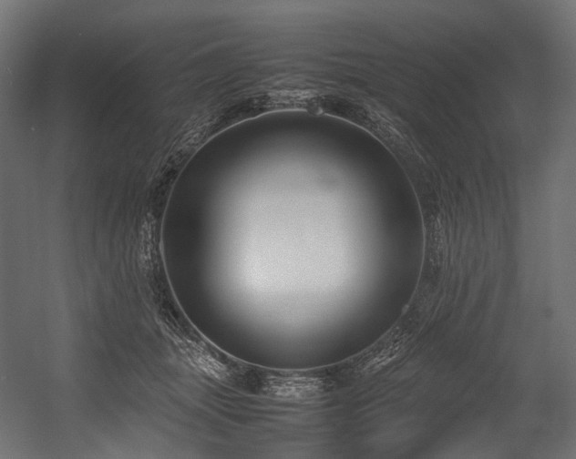 X0000054390463200507291148