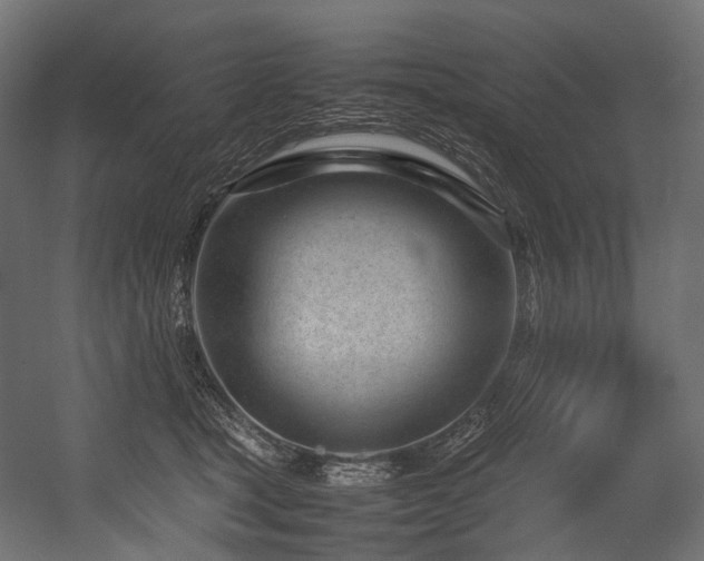 X0000054390465200507291148