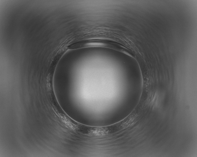 X0000054390466200507291148