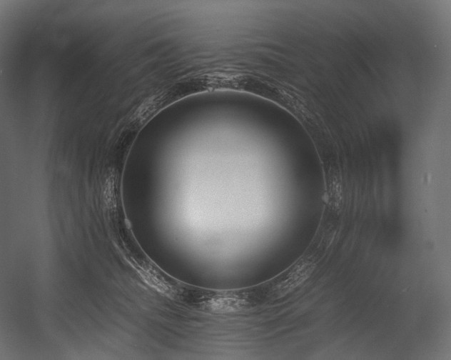 X0000054390468200507291148