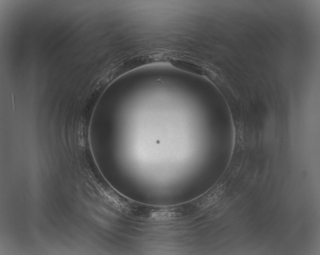 X0000054390470200507291148