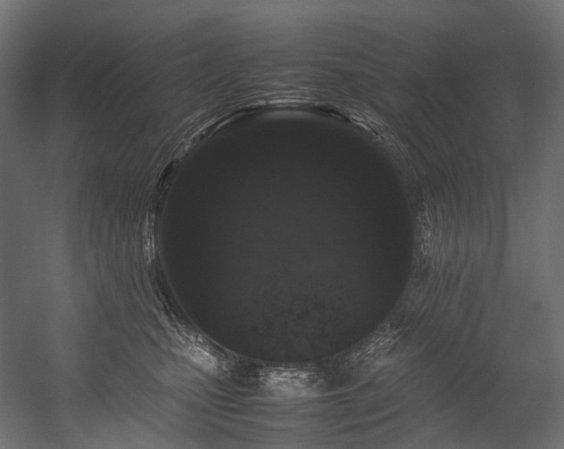 X0000054390471200507291148