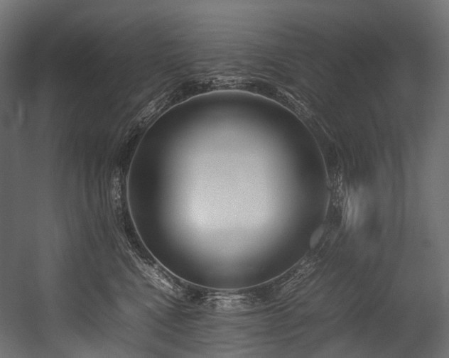 X0000054390472200507291148