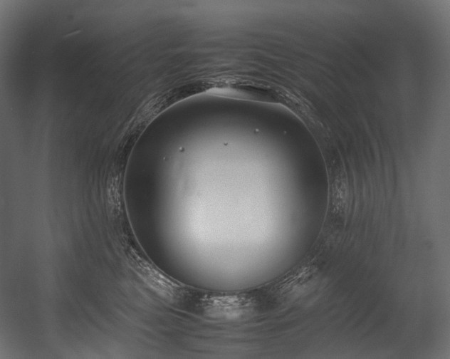 X0000054390473200507291148