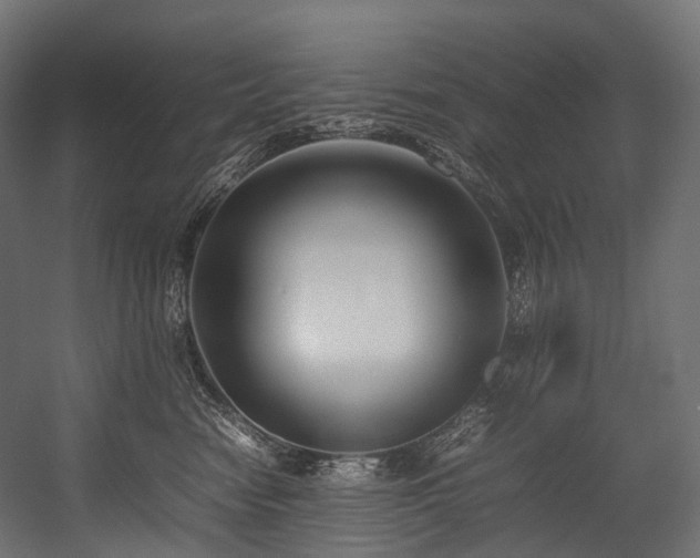 X0000054390474200507291148