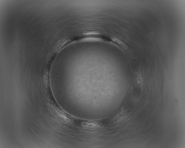 X0000054390475200507291148