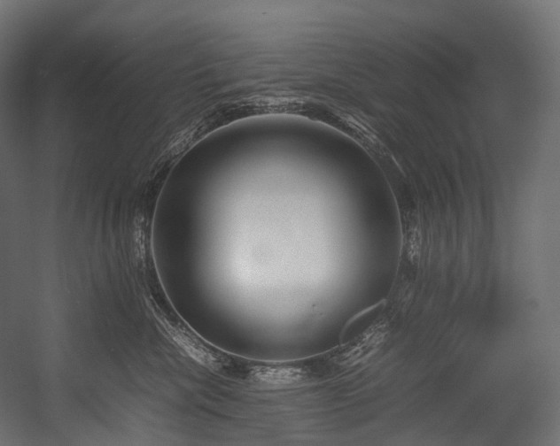 X0000054390476200507291148