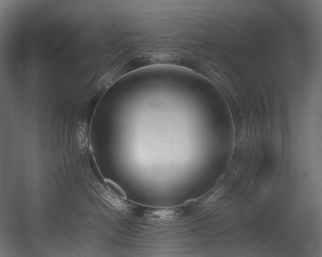 X0000054390478200507291148