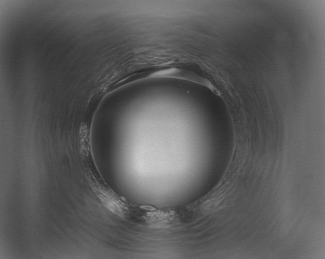 X0000054390480200507291148