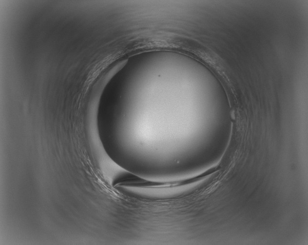 X0000054390481200507291148
