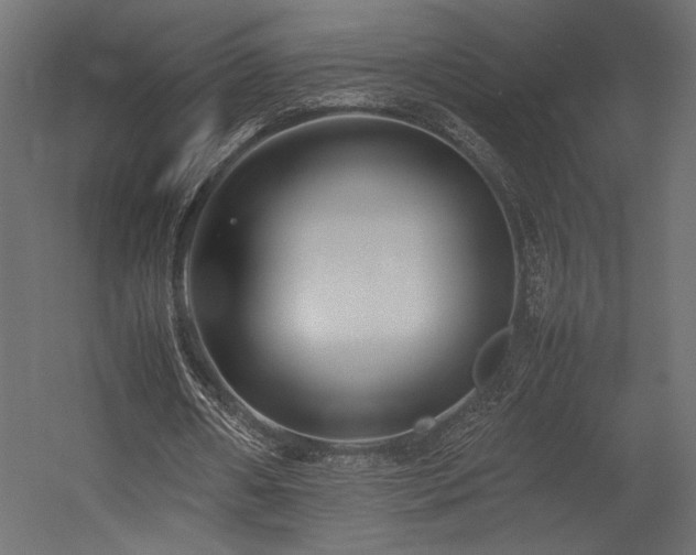 X0000054390482200507291148