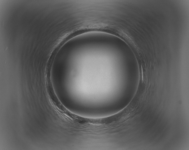 X0000054390483200507291148