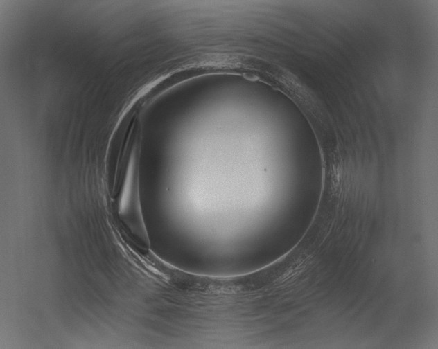 X0000054390484200507291147
