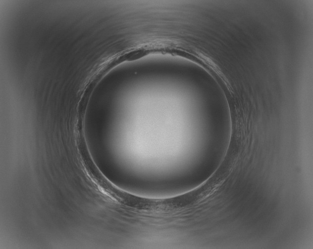 X0000054390485200507291147