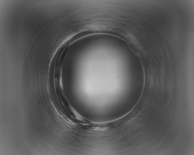 X0000054390488200507291147