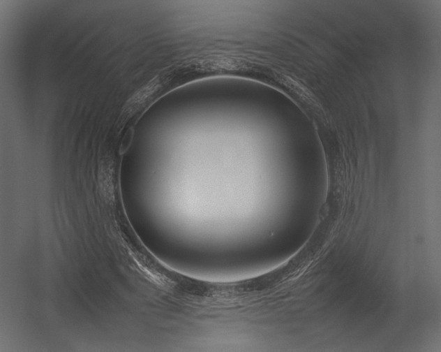 X0000054390489200507291147