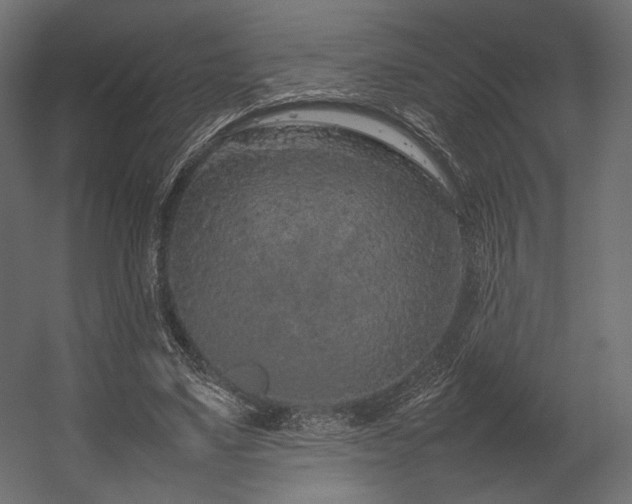 X0000054390491200507291147